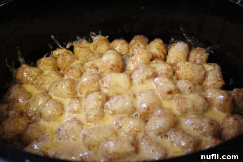 cheese covered tater tots in a dark slow cooker bowl
