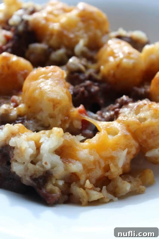 Tater tots covered in cheese over ground beef on a white plate, ready to be enjoyed.