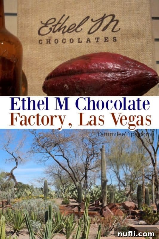 Ethel M Chocolate with cocoa pod and cactus