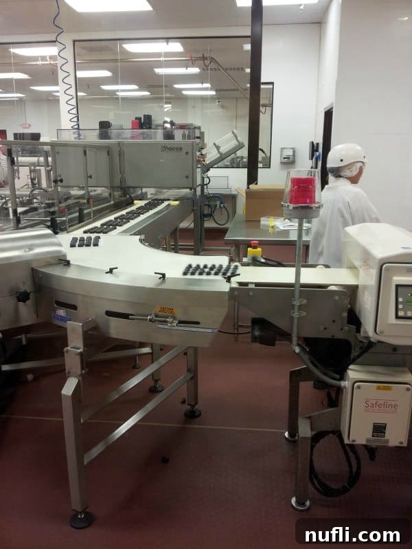 Inside the Ethel M Chocolate Factory, showing workers on the production line meticulously crafting chocolates.