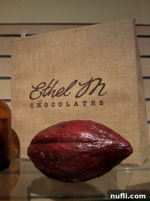 A display of Ethel M Chocolates, featuring various handcrafted pieces next to a large cocoa pod.