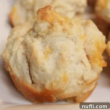 cheese muffin on a white plate