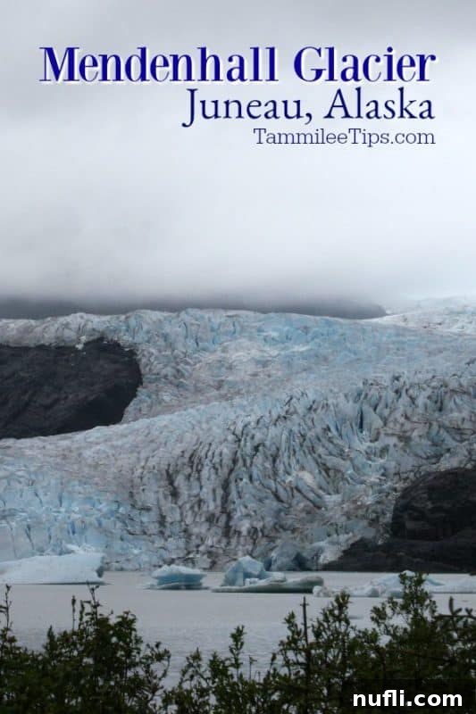 Mendenhall glacier with the glacier coming down to the lake with icebergs
