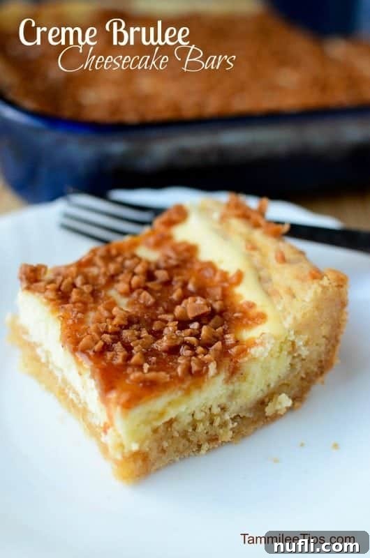 Decadent Creme Brulee Cheesecake Bars 2 Decadent Creme Brulee Cheesecake Bars on a white plate, ready to be served