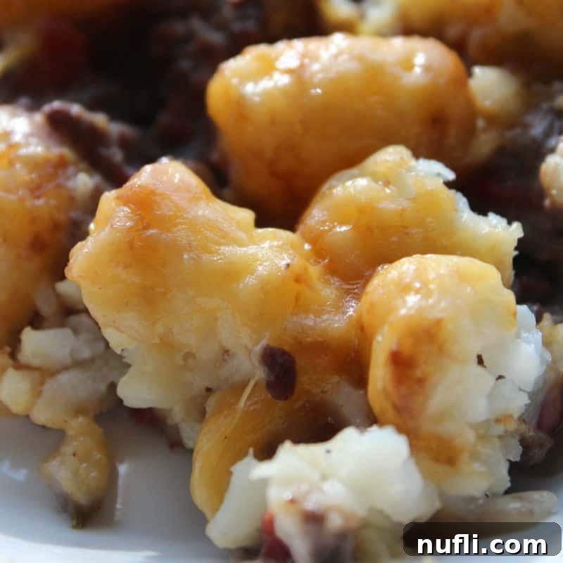 Tater tot casserole with melted cheese on a white plate