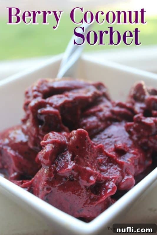 Refreshing berry coconut sorbet served in a pristine white bowl, ready for a delightful spoonful.