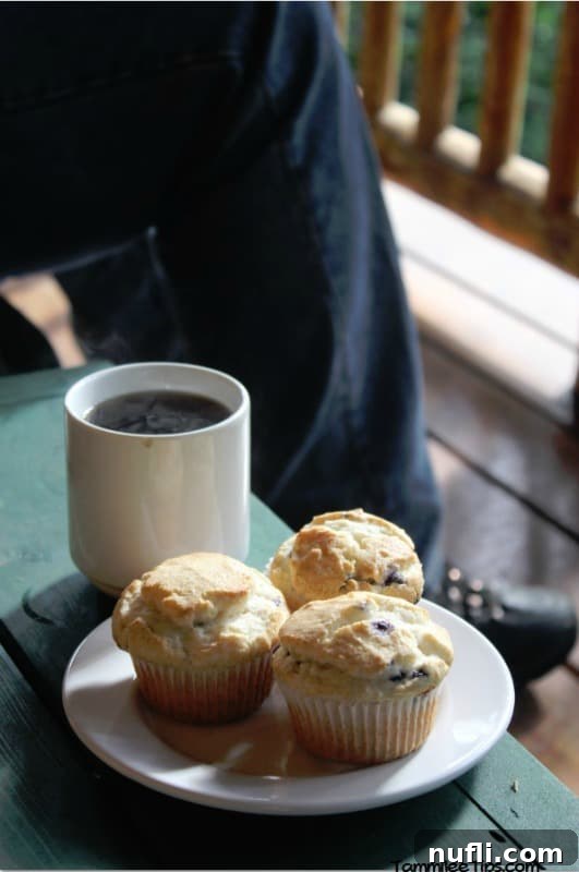 Your Log Cabin Adventure Awaits at Lakedale Resort, San Juan Islands 8 A delightful breakfast spread featuring a steaming cup of coffee and a plate of freshly baked blueberry muffins, creating a cozy morning scene.