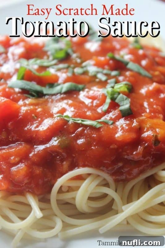 Easy scratch-made tomato sauce over a plate with spaghetti, fresh marinara, and basil