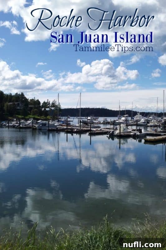 Roche Harbor San Juan Islands over the harbor with clouds reflecting in the water 