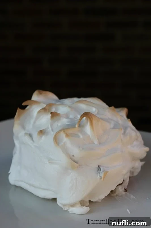 Mini baked alaska on a white plate