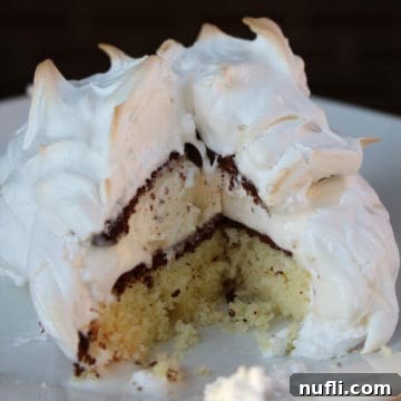 Mini Baked Alaska with meringue on a white plate