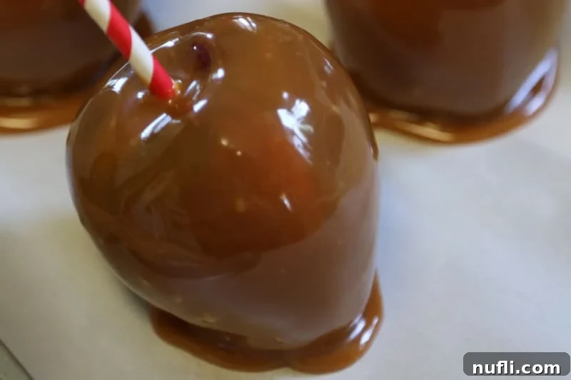 Freshly made caramel apples cooling on parchment paper, ready to be enjoyed with their perfectly set caramel coating