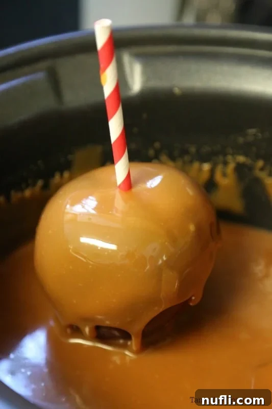 A caramel apple being carefully lifted from a slow cooker filled with warm, melted caramel, ready for toppings and cooling