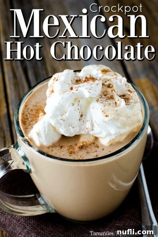 Spiced Slow Cooker Mexican Hot Chocolate 2 A glass mug filled with Crock Pot Mexican Hot Chocolate, generously topped with whipped cream and a sprinkle of cinnamon, inviting warmth and comfort on a cold day.