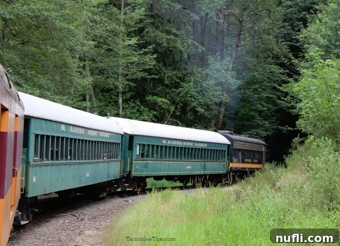 Vintage railway cars of the Mount Rainier Scenic Railroad winding through a dense forest.