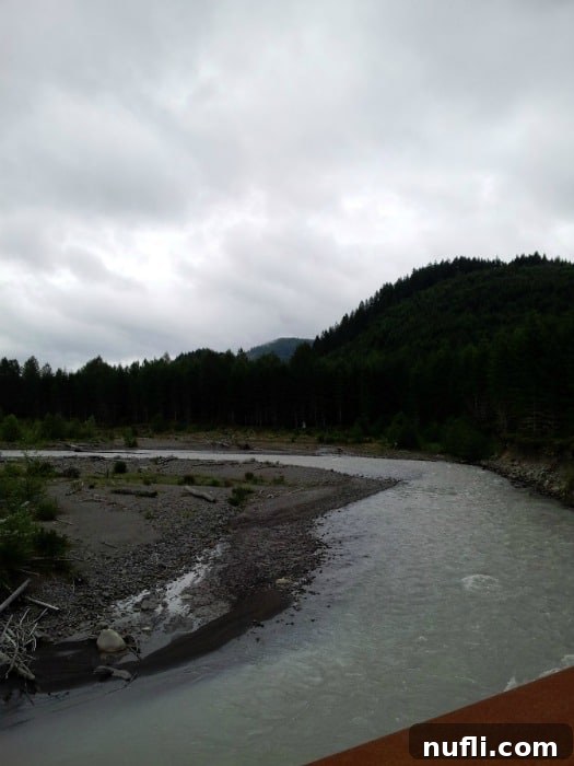 A serene view of a river with glacial silt, surrounded by forested hills on a foggy day, seen from the train.