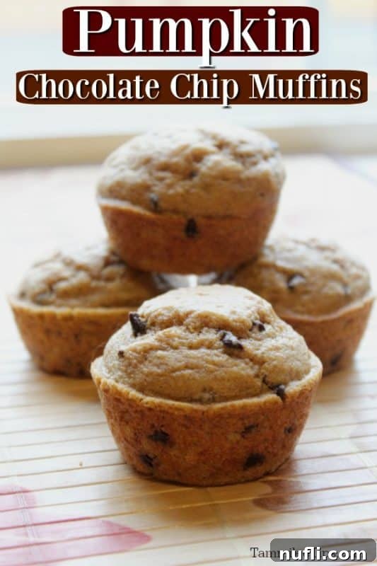 Stack of freshly baked Pumpkin Chocolate Chip Muffins with one on top