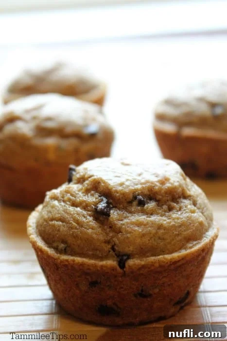 Single Pumpkin Chocolate Chip Muffin in focus with others blurred in background