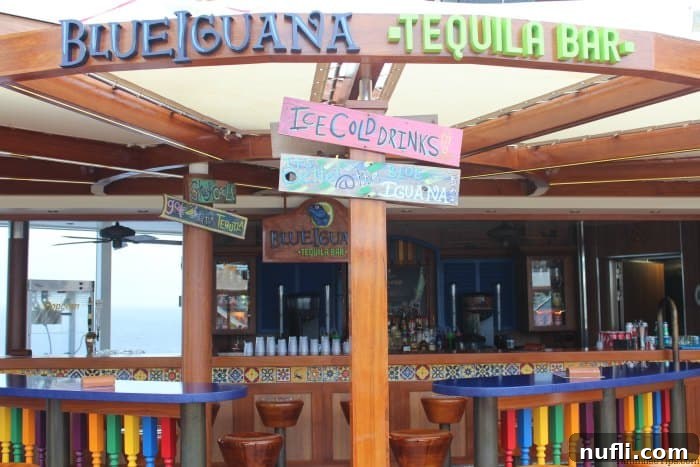 Blue Iguana Tequila Bar with colorful decorations 