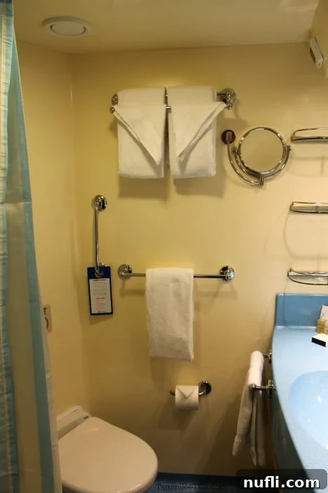 Carnival Breeze stateroom bathroom with fresh towels neatly hung on the wall, showing practical counter space