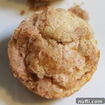 Snickerdoodle muffin with cinnamon and sugar