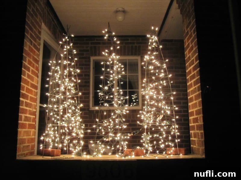 Tomato cages lit with Christmas lights 