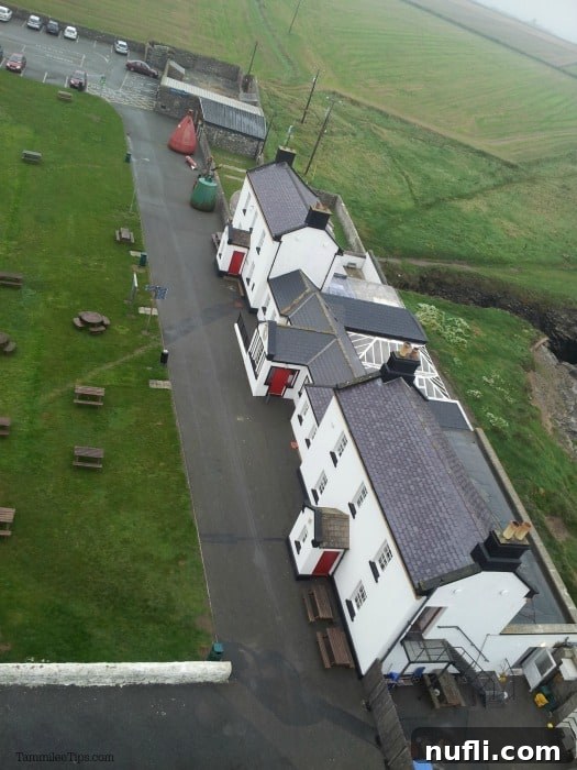 A birds-eye view looking down on the white-washed lightkeepers' houses and other support buildings surrounding Hook Head Lighthouse, with the sea in the background.