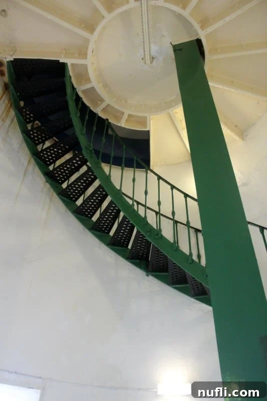 The elegant spiral staircase inside Hook Lighthouse, with worn stone steps reflecting centuries of use, illuminated by natural light.