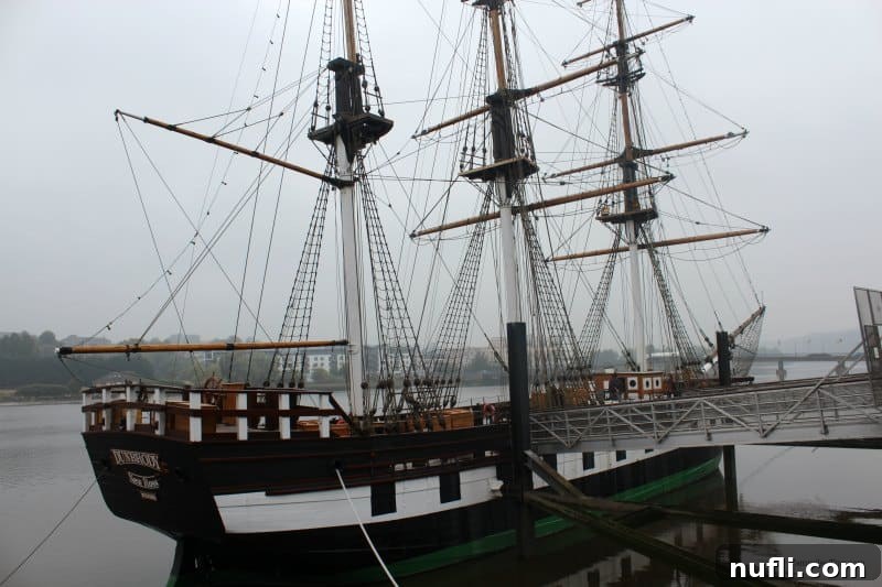 Dunbrody Famine Ship Experience Ireland 5 Dunbrody tall ship, a replica of a 19th-century emigrant vessel
