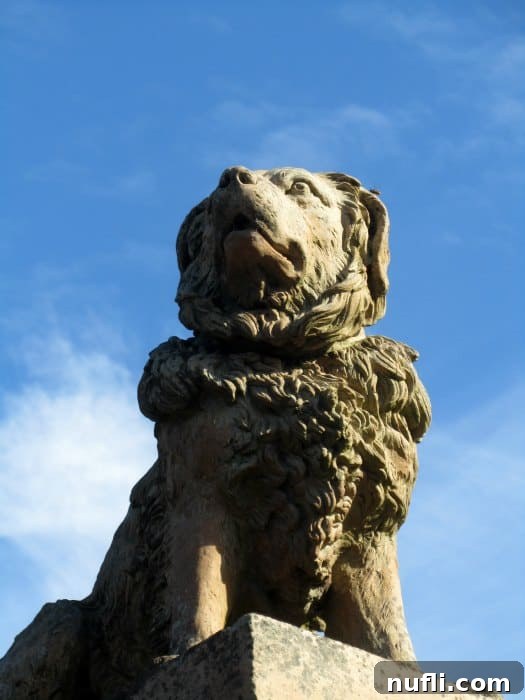 Malahide Castle and Gardens, Dublin, Ireland 3 Dog sculpture in the gardens of Malahide Castle, adding a whimsical touch