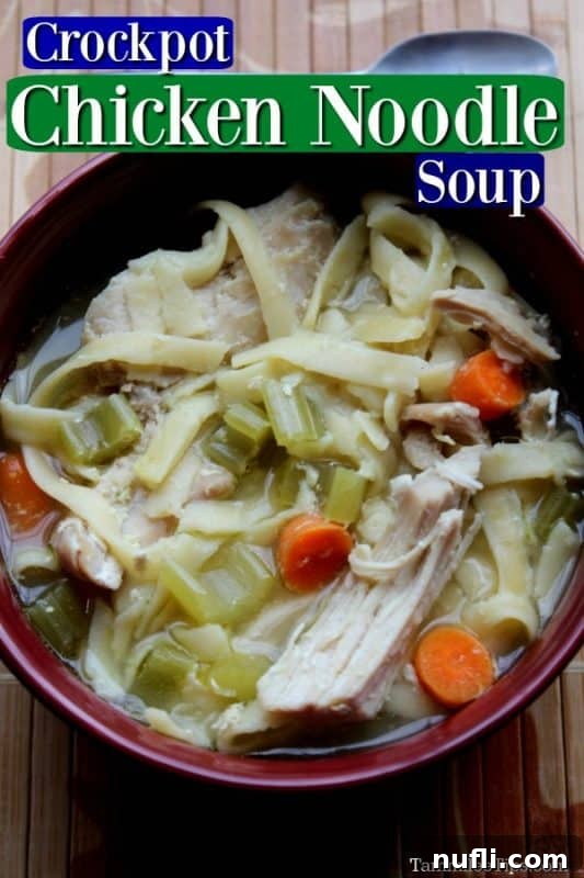 A vibrant red bowl filled with steamy, homemade Crockpot Chicken Noodle Soup, highlighting tender chicken, carrots, and egg noodles.
