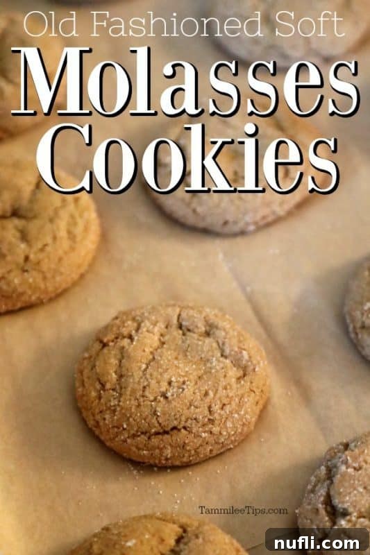 Close-up of soft old fashioned molasses cookies with crackled tops on parchment paper.
