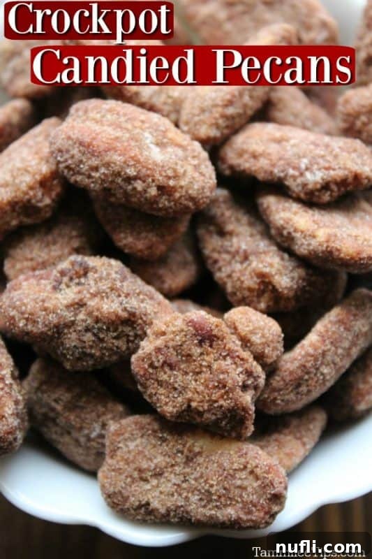 Effortless Crockpot Candied Pecans 2 Close-up of perfectly coated Crockpot Candied Pecans with cinnamon and sugar in a white bowl, ready to be enjoyed.