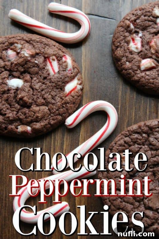 Delicious chocolate peppermint cookies artfully arranged with crushed candy canes, perfect for holiday celebrations.