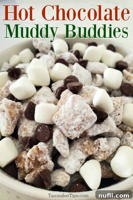 Decadent Hot Chocolate Puppy Chow 2 Hot chocolate muddy buddies over a bowl filled with muddy buddies, mini marshallows and chocoalte chips, ready to be enjoyed.