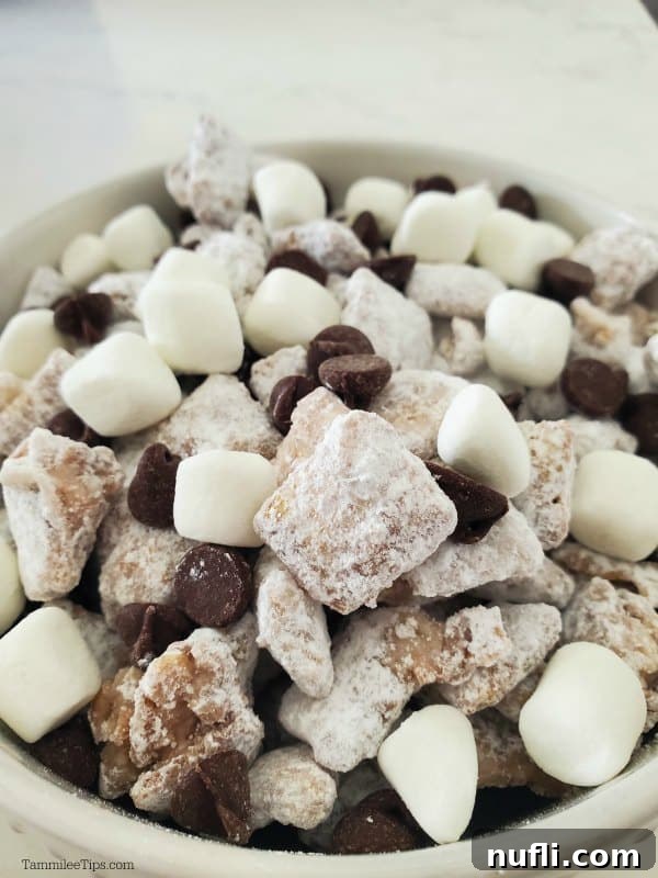 Decadent Hot Chocolate Puppy Chow 4 Hot chocolate muddy buddies piled in a white bowl, garnished with extra mini marshmallows and chocolate chips.