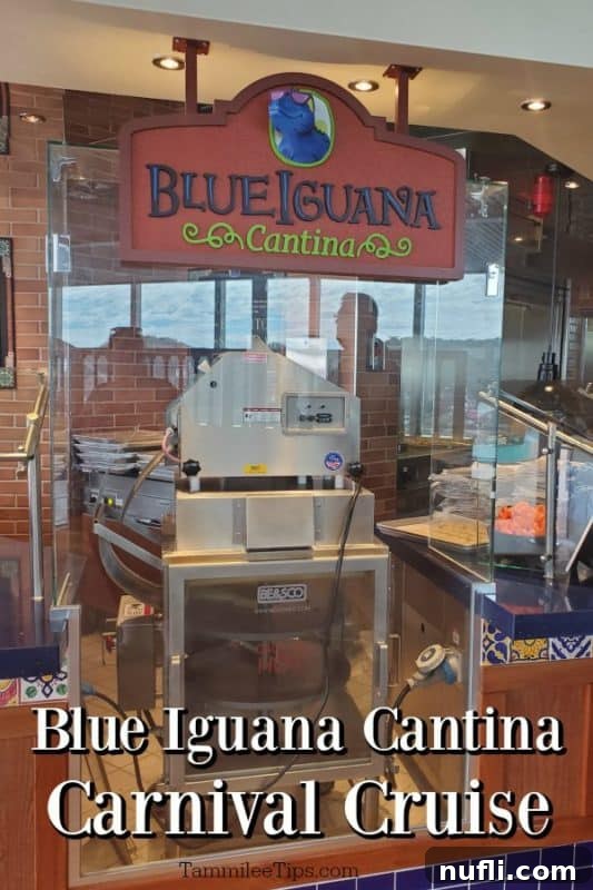 Blue Iguana Cantina tortilla maker and stand, highlighting fresh preparation