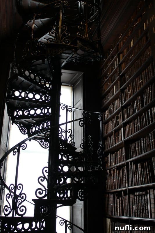 Wrought iron circular staircase next to shelves of books