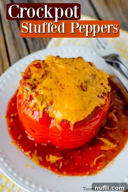 Classic crockpot stuffed pepper on a white plate with a rustic wood background, ready to serve