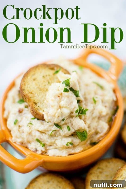 crockpot onion dip over an orange bowl with dip and a bagel chip 