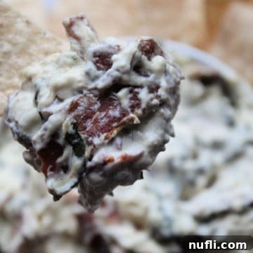 Bacon blue cheese dip served on a tortilla chip, held above a rustic white bowl filled with the creamy dip, ready for sharing.