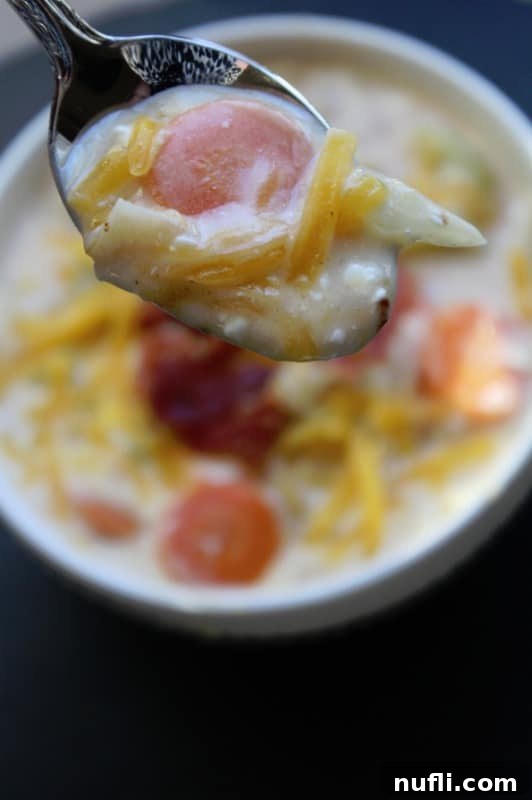 Hearty Crockpot Beer Cheese Soup 3 Beer cheese soup on a silver spoon above a bowl of soup