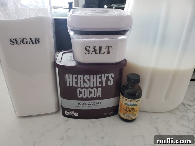 Cozy Slow Cooker Hot Chocolate 3 Sugar, Salt, Hershey's Cocoa, vanilla, and milk on a counter
