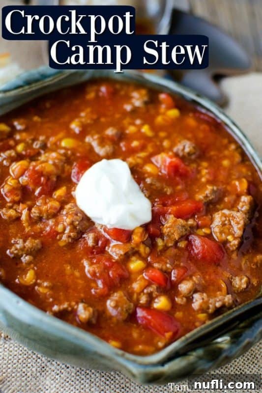 Hearty Crock Pot Camp Stew served in a rustic bowl