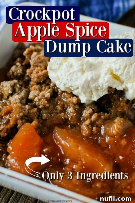 Crockpot Apple Spice Dump Cake over a bowl of cake topped with ice cream