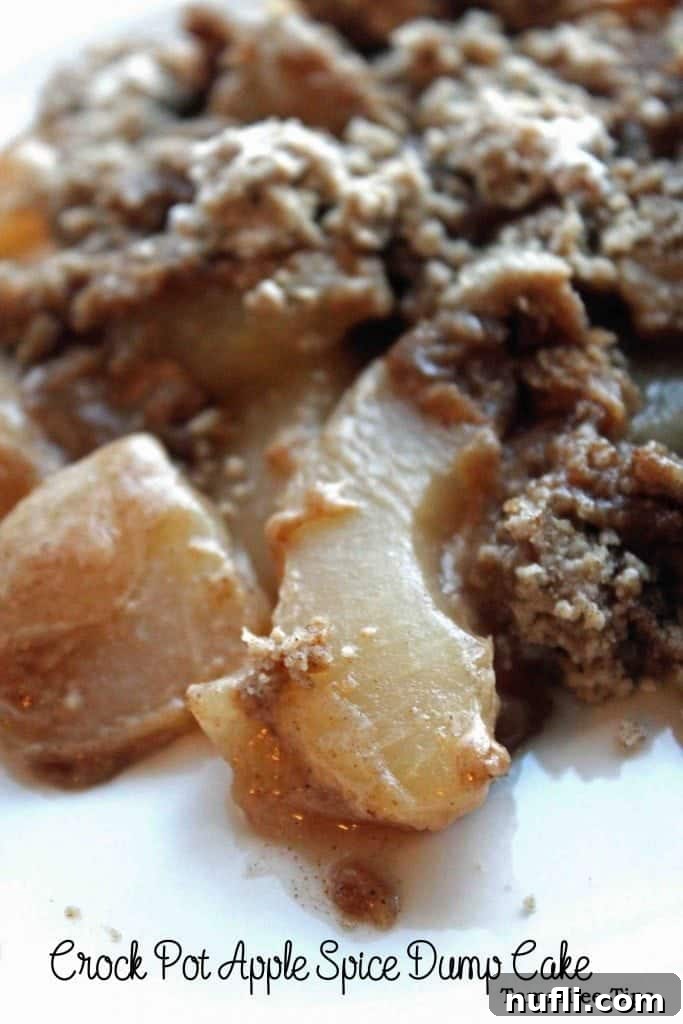 Crock Pot Apple Spice Dump Cake Recipe