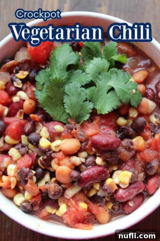 A steaming bowl of Crock Pot Vegetarian Chili, garnished with fresh cilantro, ready to be enjoyed.
