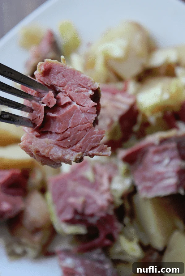 Fork holding a piece of corned beef above a plate full