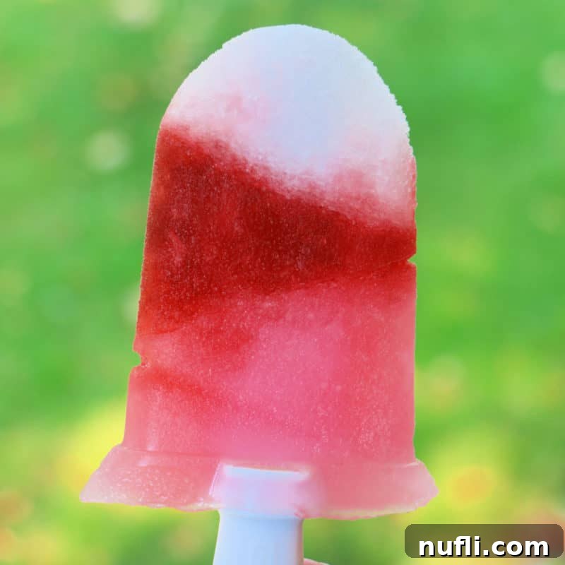 Sun-Kissed Sips: Over 35 Refreshing Summer Cocktails 37 Black Cherry Lemonade Boozy Ice Pop