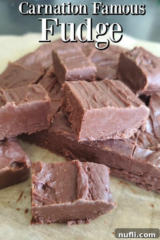 A delicious pile of famous Carnation chocolate fudge